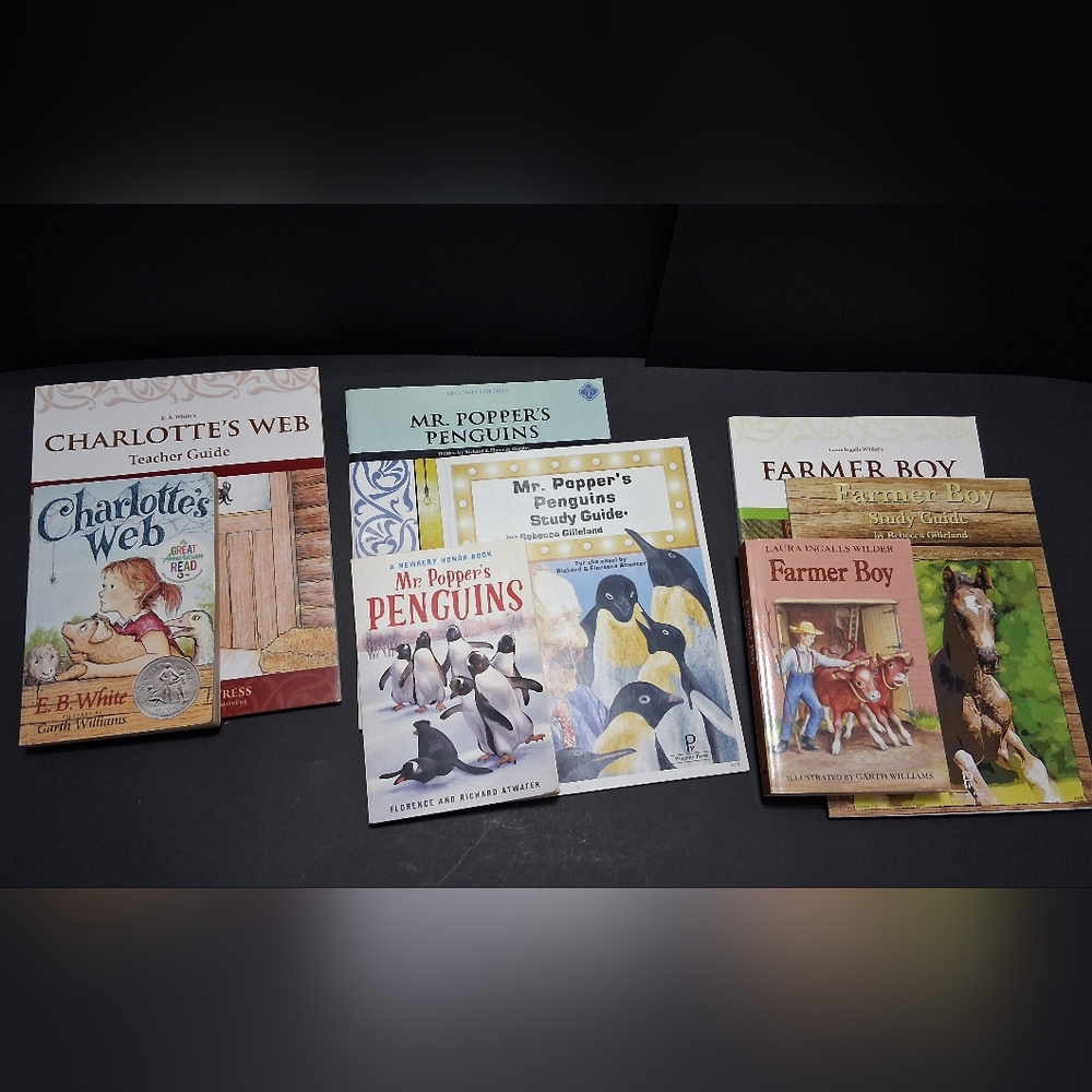Assorted Children's Book Set